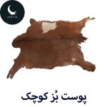 پوست بز کوچک