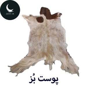 پوست بز