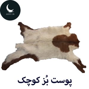 پوست بز