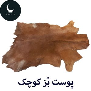 پوست بز