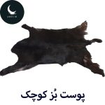 پوست بز کوچک