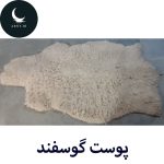 پوست گوسفند