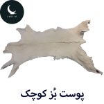 پوست بز کوچک