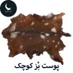 پوست بز کوچک