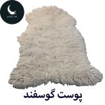 پوست گوسفند