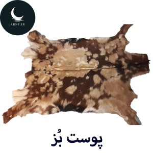 پوست بز
