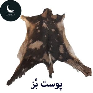 پوست بز
