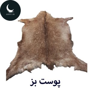 پوست بز