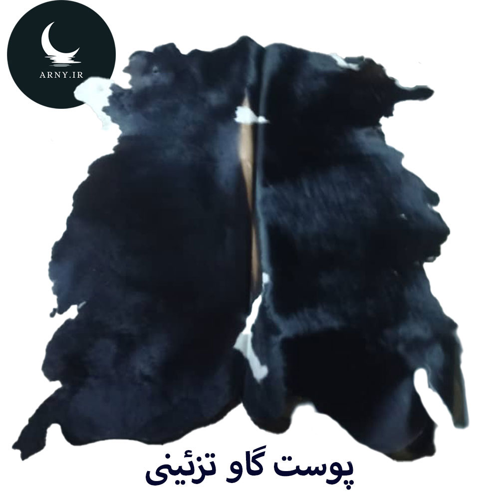 1 پوست گاو