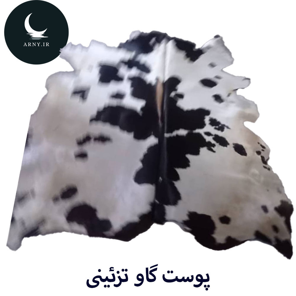 2 پوست گاو