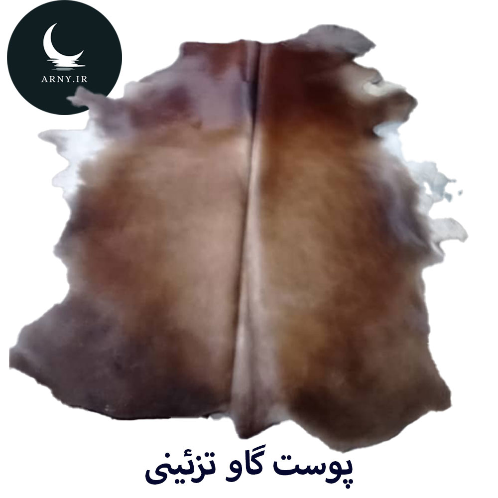 3 پوست گاو