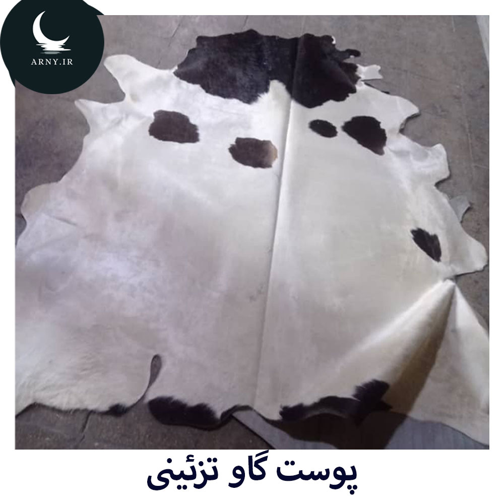 4 پوست گاو