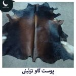 پوست گاو