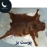 پوست بز قهوه ای زیر بغل سفید