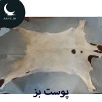پوست بز سفید