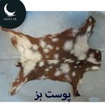 پوست بز خالخالی روشن