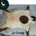 پست بز سفید خال بزرگ وسط جذاب