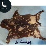 پوست باز قهوه ای شیری خالخالی