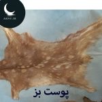 پوست بز شیری خالخالی