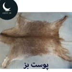 پوست بز خاکستری