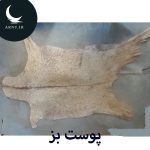 پوست بز سفیدخط کمر شیری