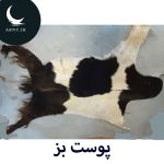 پوست بز سفید مشکی