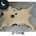 پوست بز سفید خال مشکی