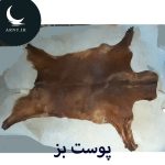 پوست بز قهوه ای سوخته