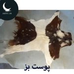 پوست بز سفید بالا و پایین تنه قهوه ای مشکی