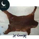 پوست بز قهوه ای