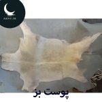 پوست بز سفید