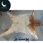 پوست بز سفید سر شیری