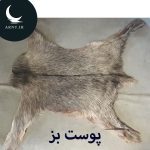 پوست بز جذاااب