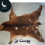 پوست بز جذاب