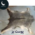 پوست بز محشرررر