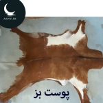 پوست بز قهوه ای روشن کمی سفید