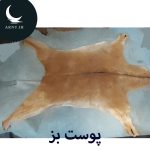 پوست بز شیری