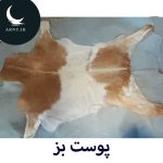 پوست بز سفید قهوه ای روشن