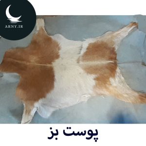 پوست بز سفید قهوه ای روشن