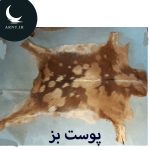 پوست بز دو قهوه ای