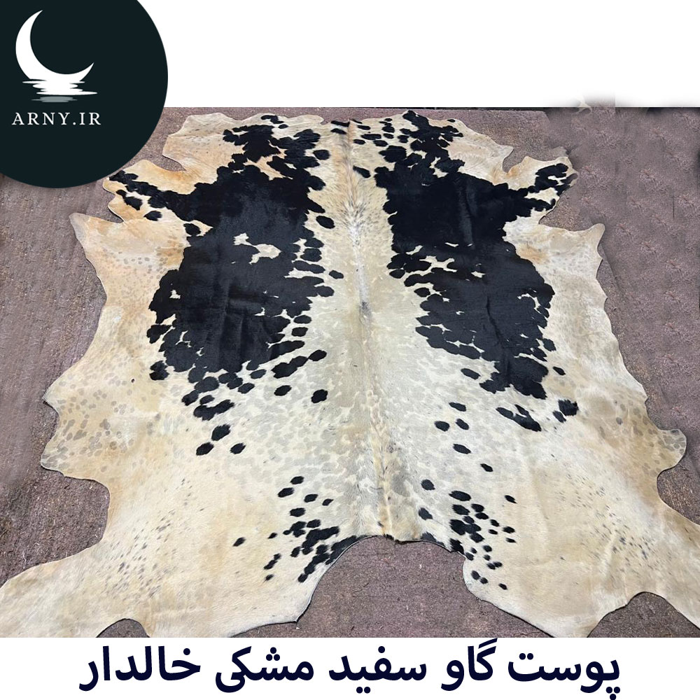 پوست گاو سفید مشکی خالدار پوست گاو سفید مشکی خالدار
