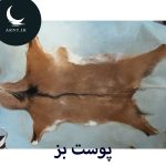 پوست بز قهوه ای رگه مشکی