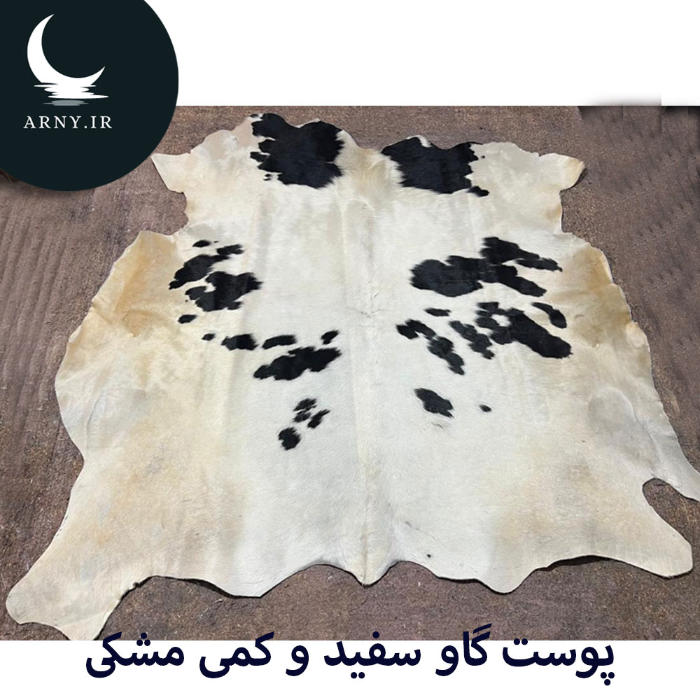 پوست گاو سفید و کمی مشکی پوست گاو سفید و کمی مشکی