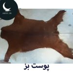 پوست بز قهوه ای