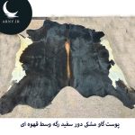 پوست گاو مشکی دور سفید رگه وسط قهوه ای