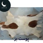 پوست بز سفید قهوه ای روشن