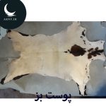 پوست بز گردن قهوه ای سیاه