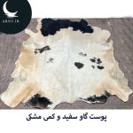 پوست گاو سفید و کمی مشکی