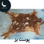 پوست بز شیری خال خالی
