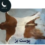 پوست بز سفید قهوه ای